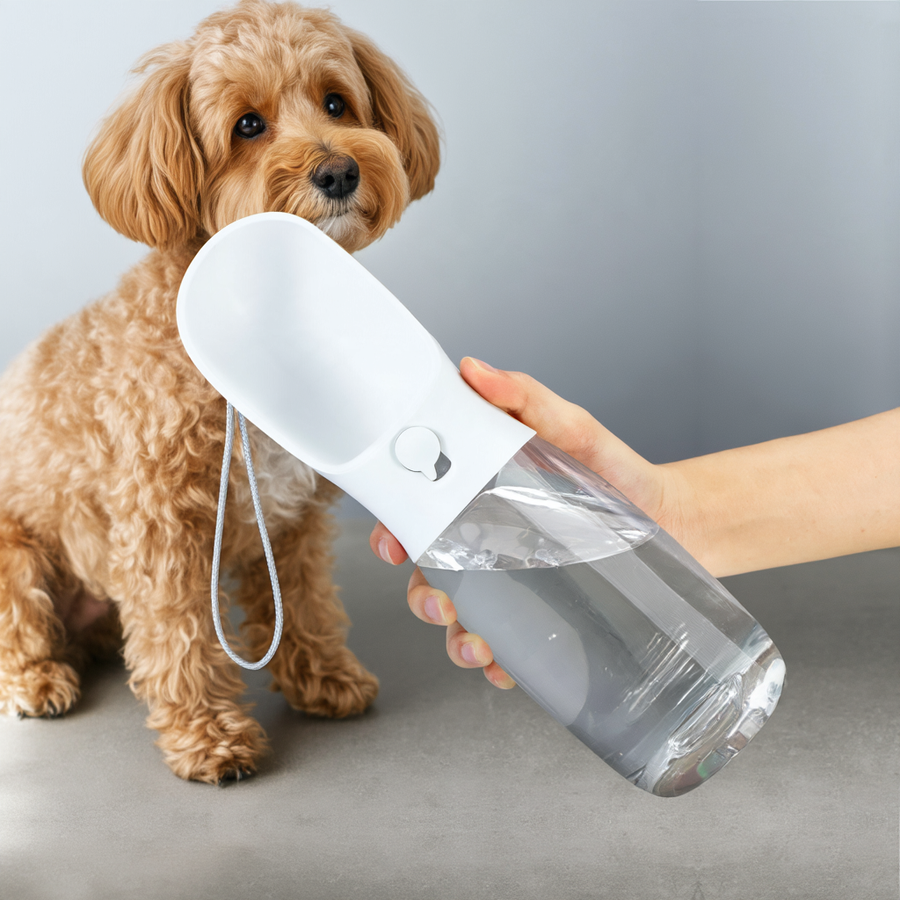 Poodle next to the DroolyPup Walkies Water Bottle in white